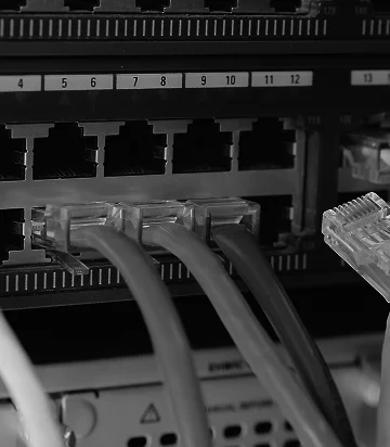 Vendor switches